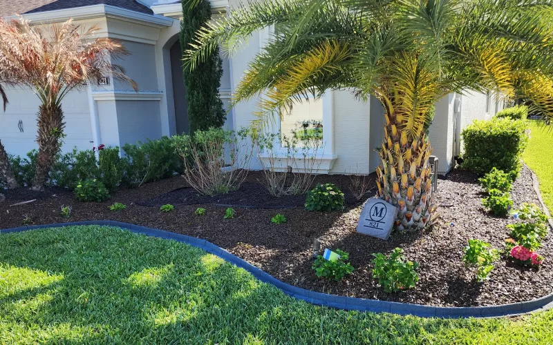 Rubber Mulch in Front Yard Landscaping