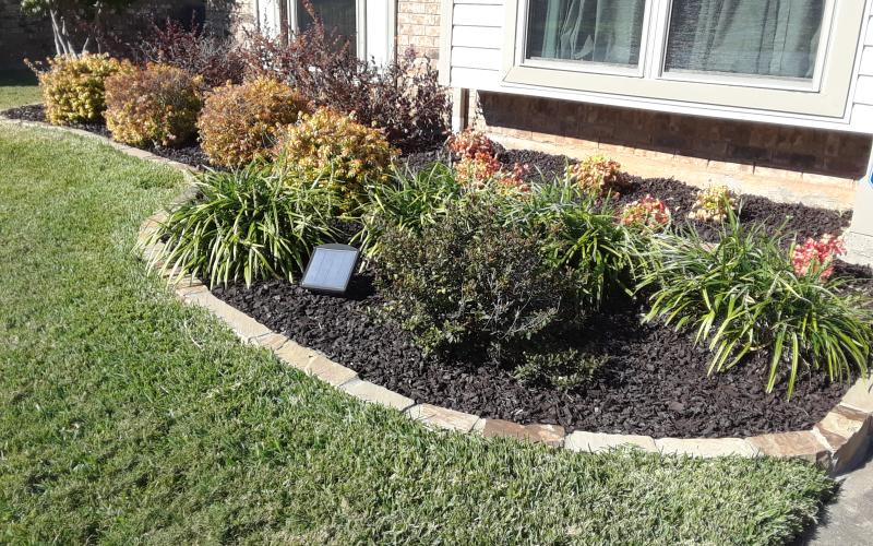 Brown Rubber Mulch Landscaping Front of House