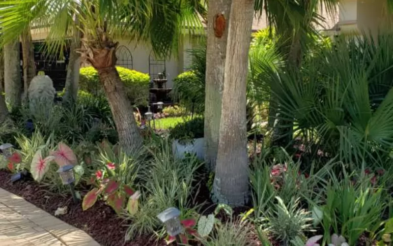 Rubber Mulch Next to Driveway