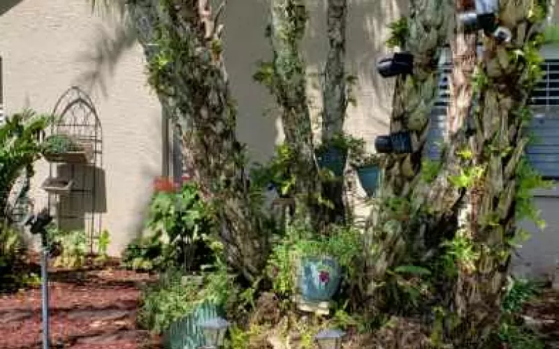 Rubber Mulch With Stone Edging