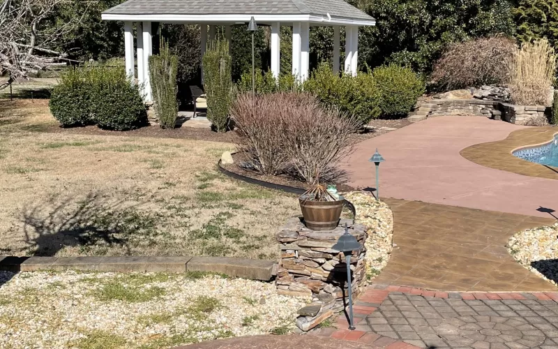 Pool Area Landscaping Before Photo
