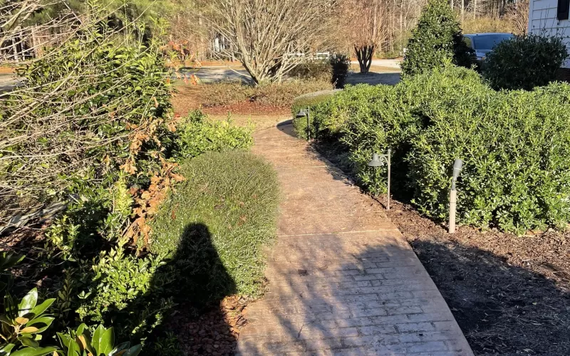 Landscaping with Rocks Before Switching to Rubber Mulch