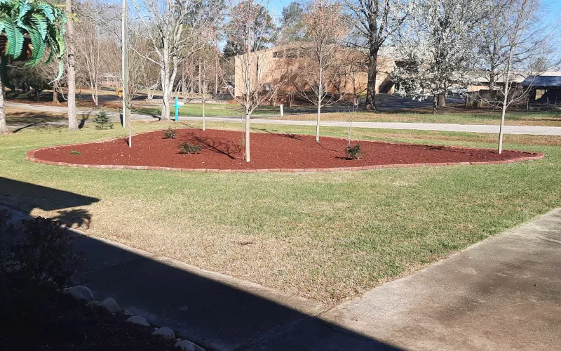 Landscaping island with red rubber mulch