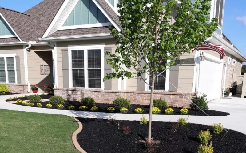Black Rubber Mulch Front Yard