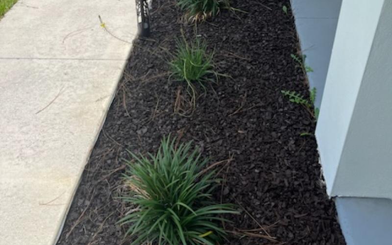 Front Garden Bed Walkway with Brown Rubber Mulch
