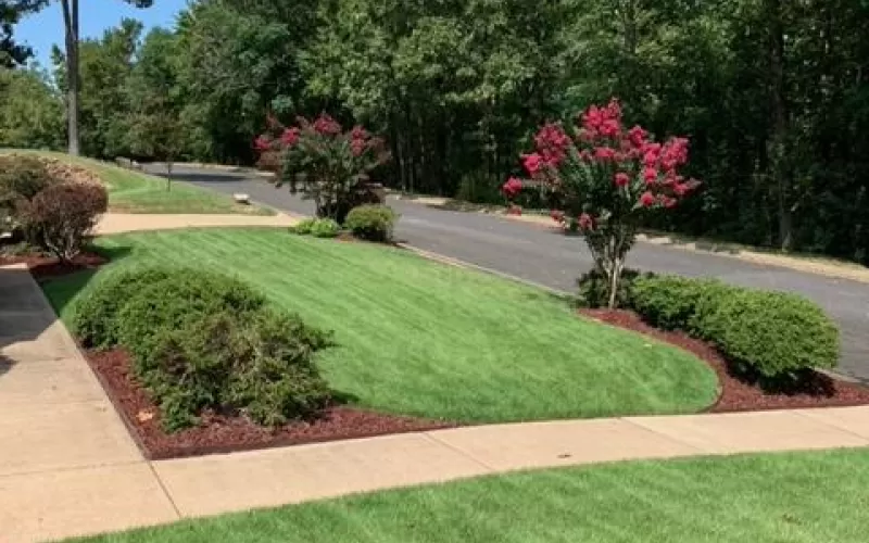 Red Rubber Mulch Landscape Front Yard
