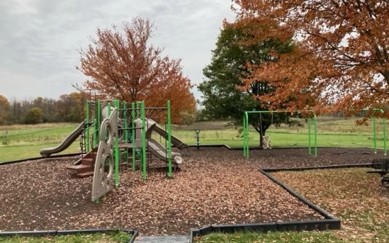 Brown Rubber Mulch Church Playground Leaves Changing Colors