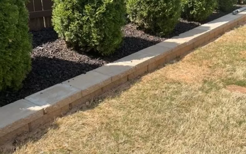 Brown Rubber Mulch with Hedges