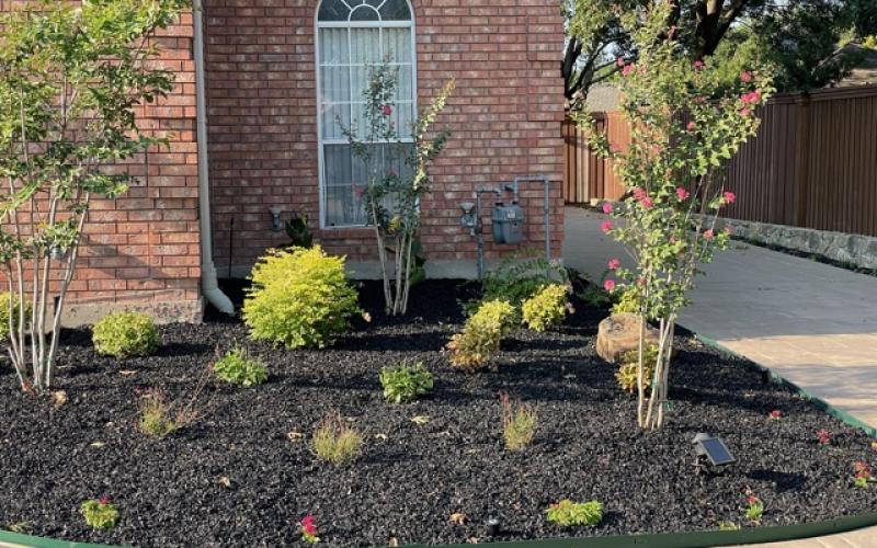 Wider Black Rubber Mulch in Landscaping Bed Front of House