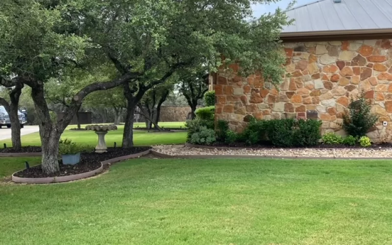 Brown rubber mulch in front yard of landscaping