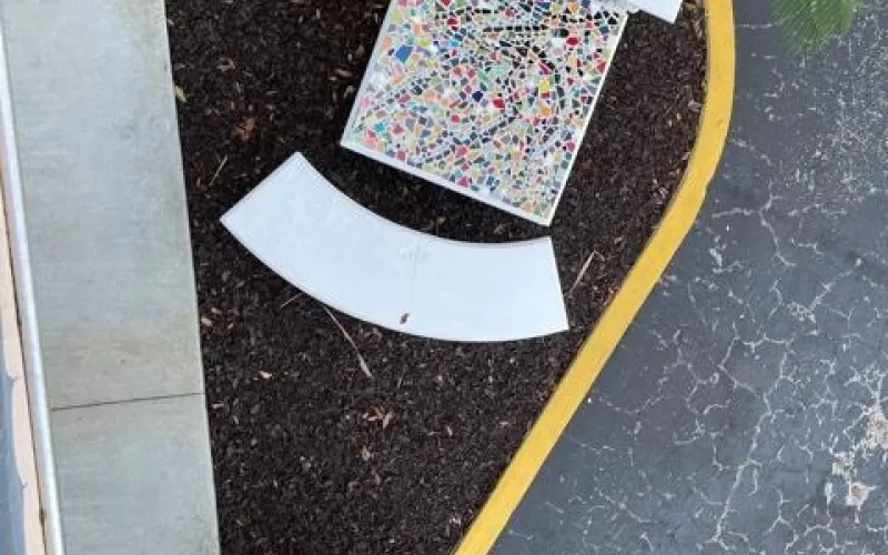 Commercial Parking Lot with Rubber Mulch in Buffer Zones