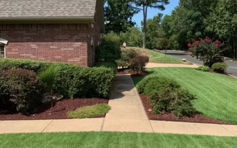 Landscape Red Rubber Mulch Front Yard