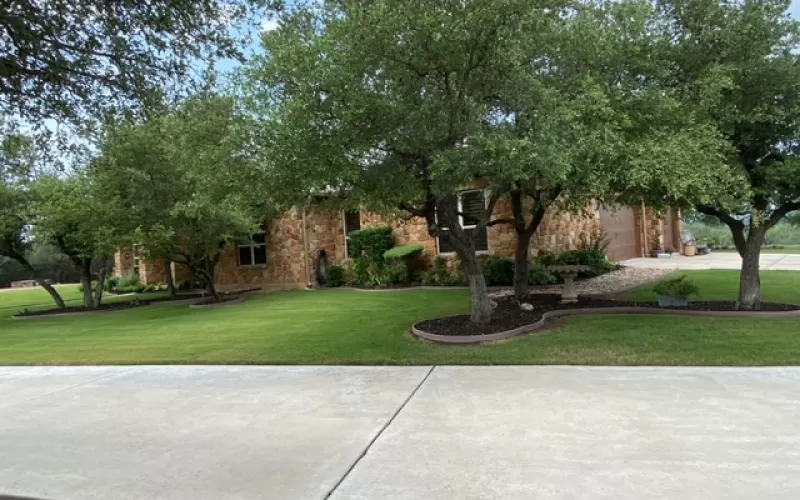 Curvy tree islands with rubber mulch