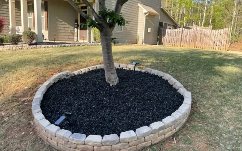 Black rubber mulch tree ring