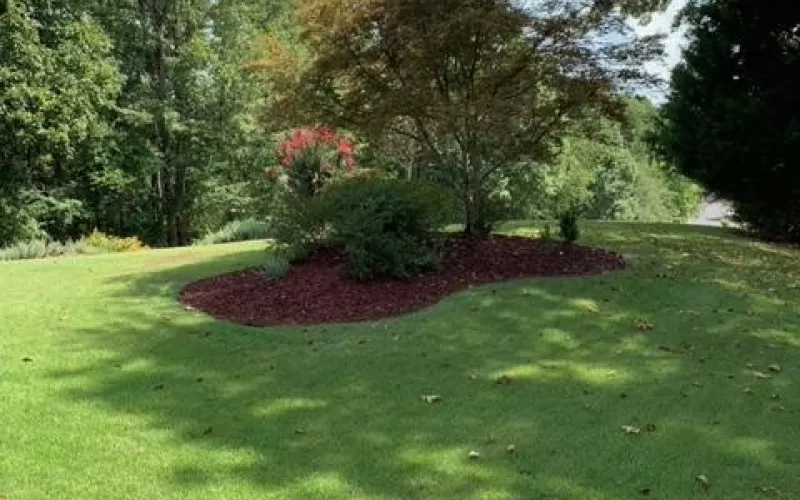 Red Landscape Rubber Mulch Around Tree
