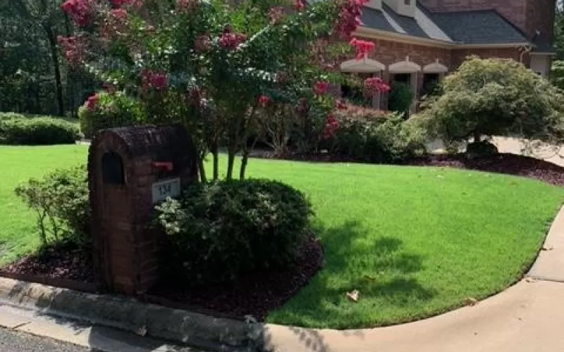 Stunning House with Red Rubber Mulch