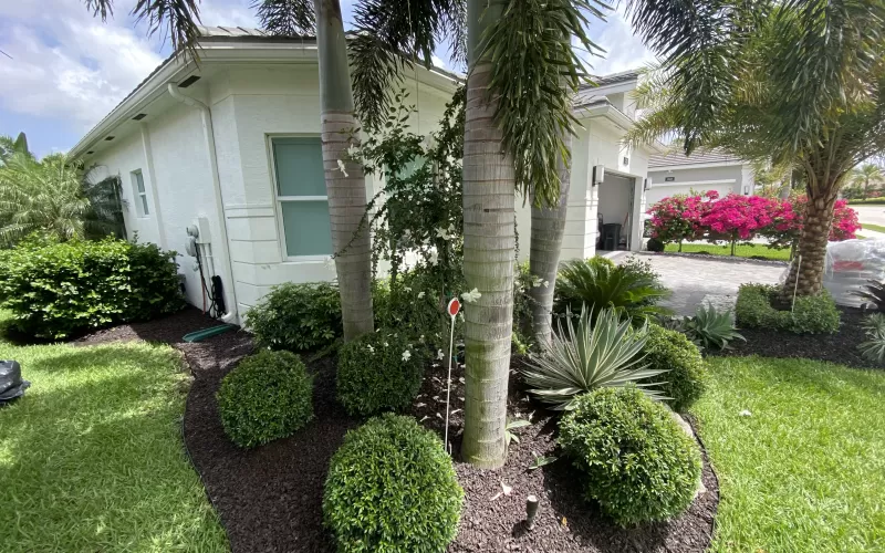 Garden bed with brown rubber mulch