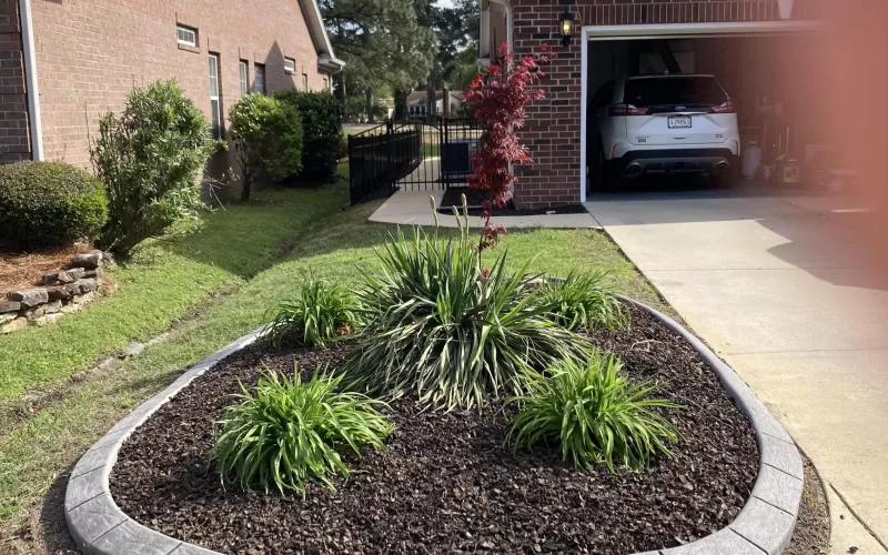 Rubber mulch in a landscape island bed surrounded by rock