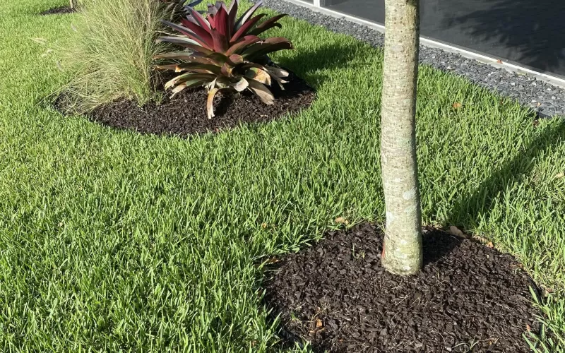 Tree ring with brown rubber mulch