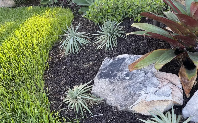 Landscaping with brown rubber mulch