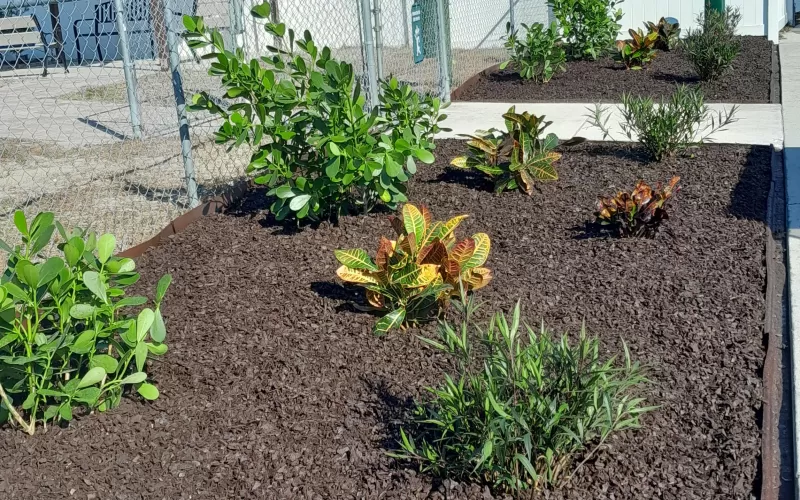 Dog park with rubber mulch landscaping