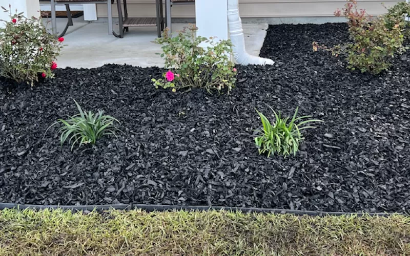 New garden with black rubber mulch