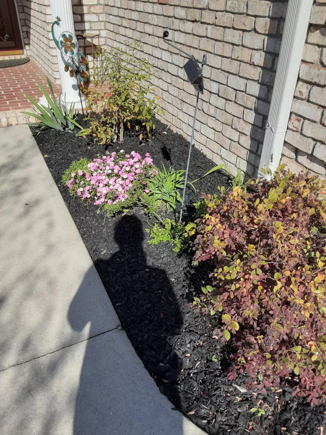 Black Rubber Mulch Garden Beds in Front of House