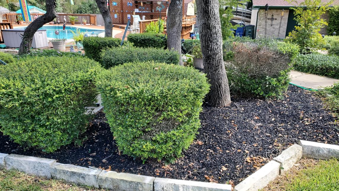 Black Rubber Mulch in Stone Edged Flower Beds Black Rubber Mulch in Stone Edged Flower Beds