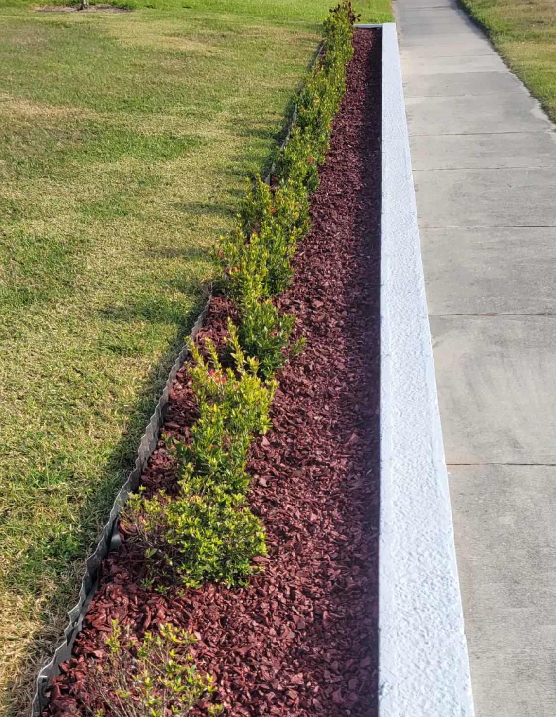Red Rubber Mulch Landscaping with Tin Edging