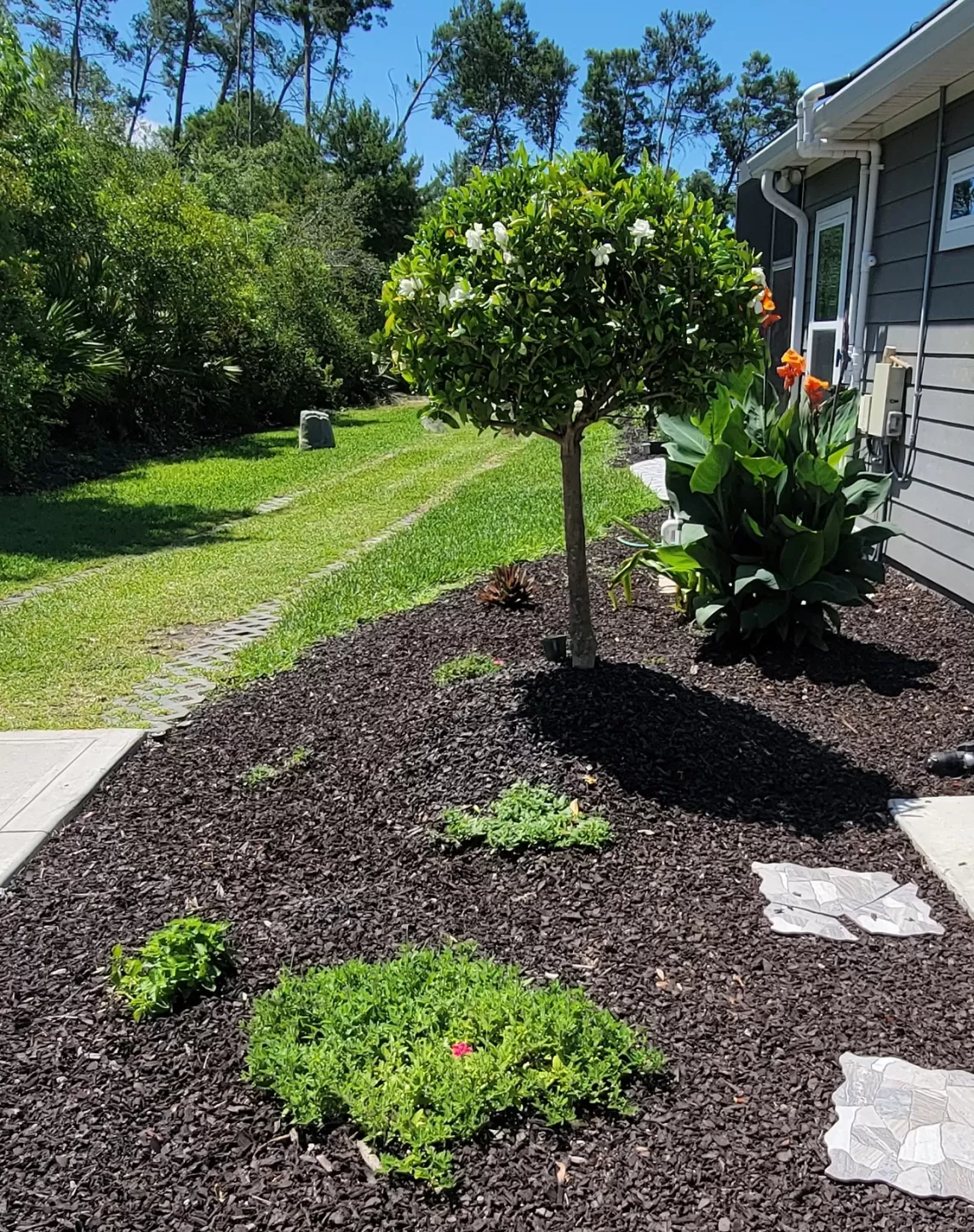 Sideyard landscaping beds with rubber mulch in lieu of wood mulch