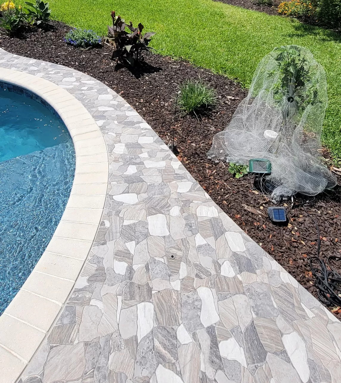Pool pavers with brown rubber mulch along the edge