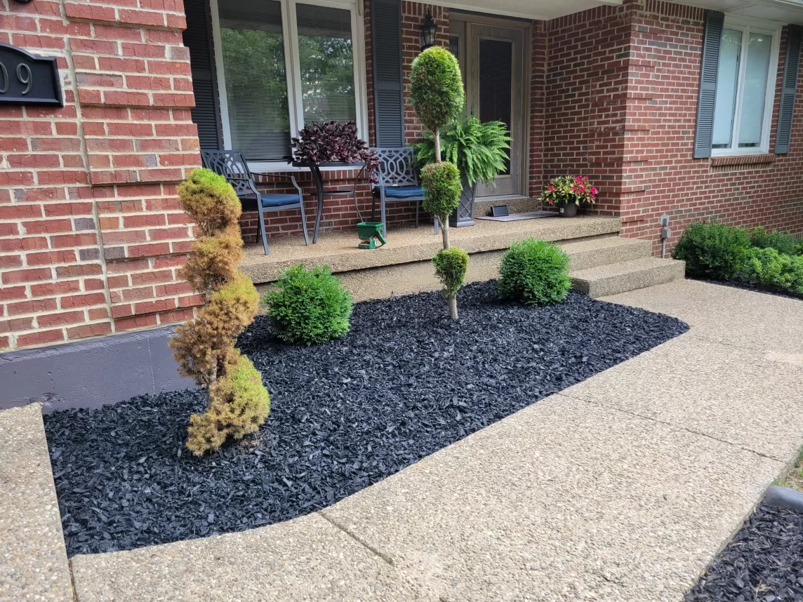 Black Rubber Mulch Landscaping at Entrance