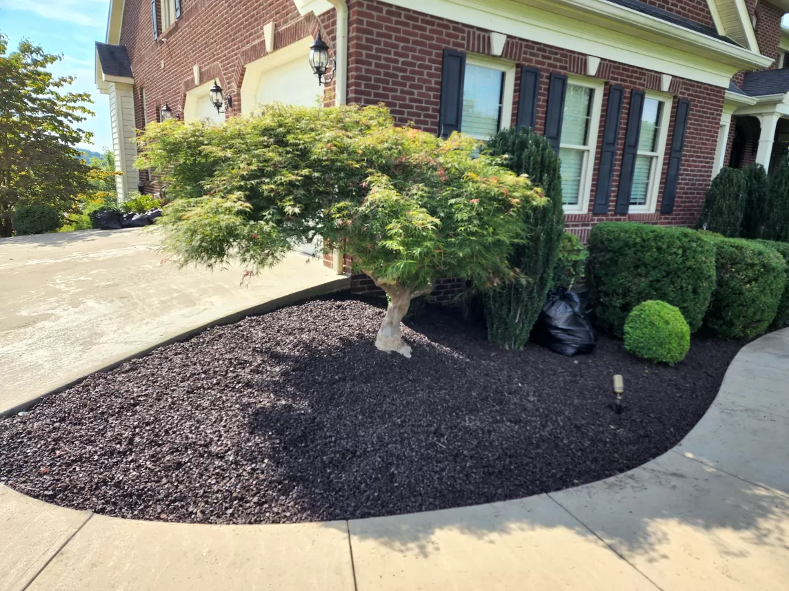 Brown Rubber Mulch Residential Landscaping