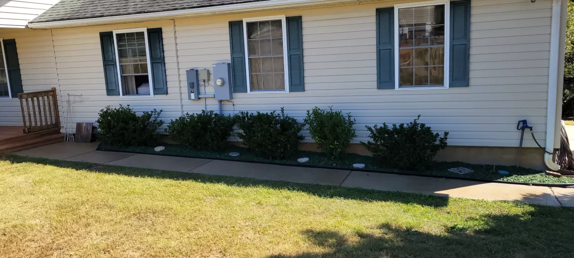 Front walkway of house lined with green rubber mulch