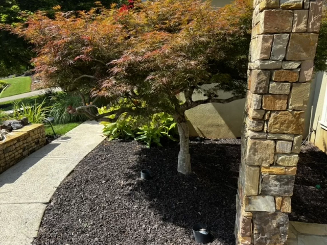 Front landscaping beds with brown rubber mulch