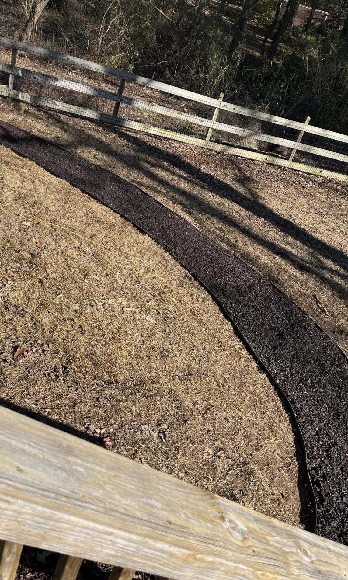 Backyard dog path with rubber mulch