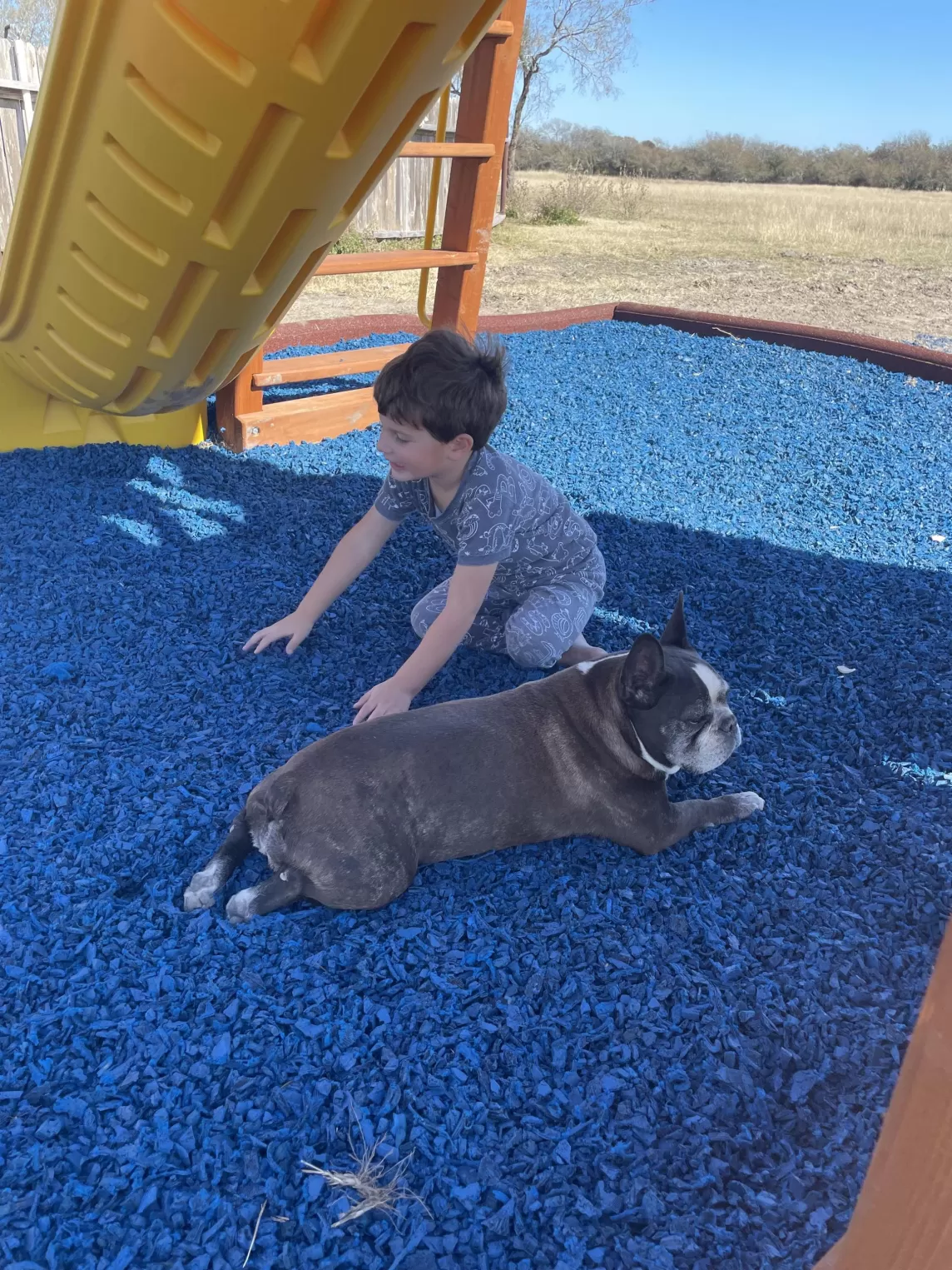 Milo's Country Club Playground with Frenchie