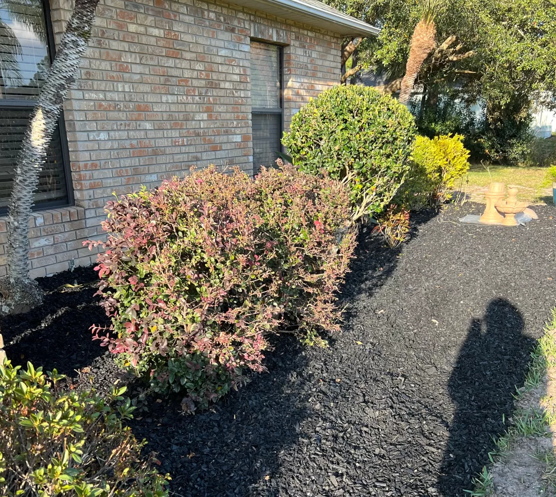 Back Rubber Mulch Front Yard Landscaping
