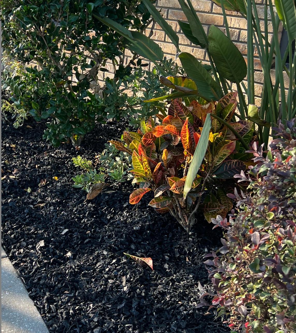 Back Rubber Mulch Garden Back Rubber Mulch Garden