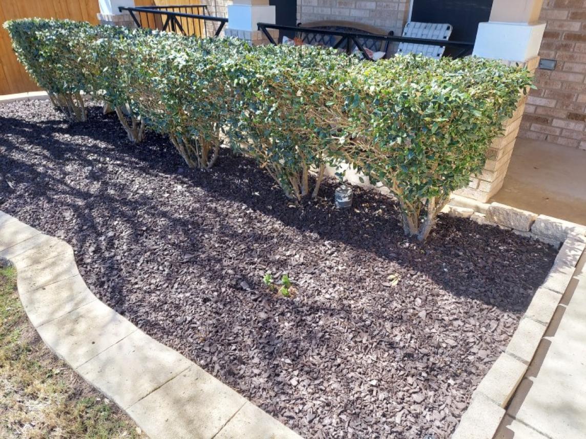 Brown Rubber Mulch Landscaping Garden Bed