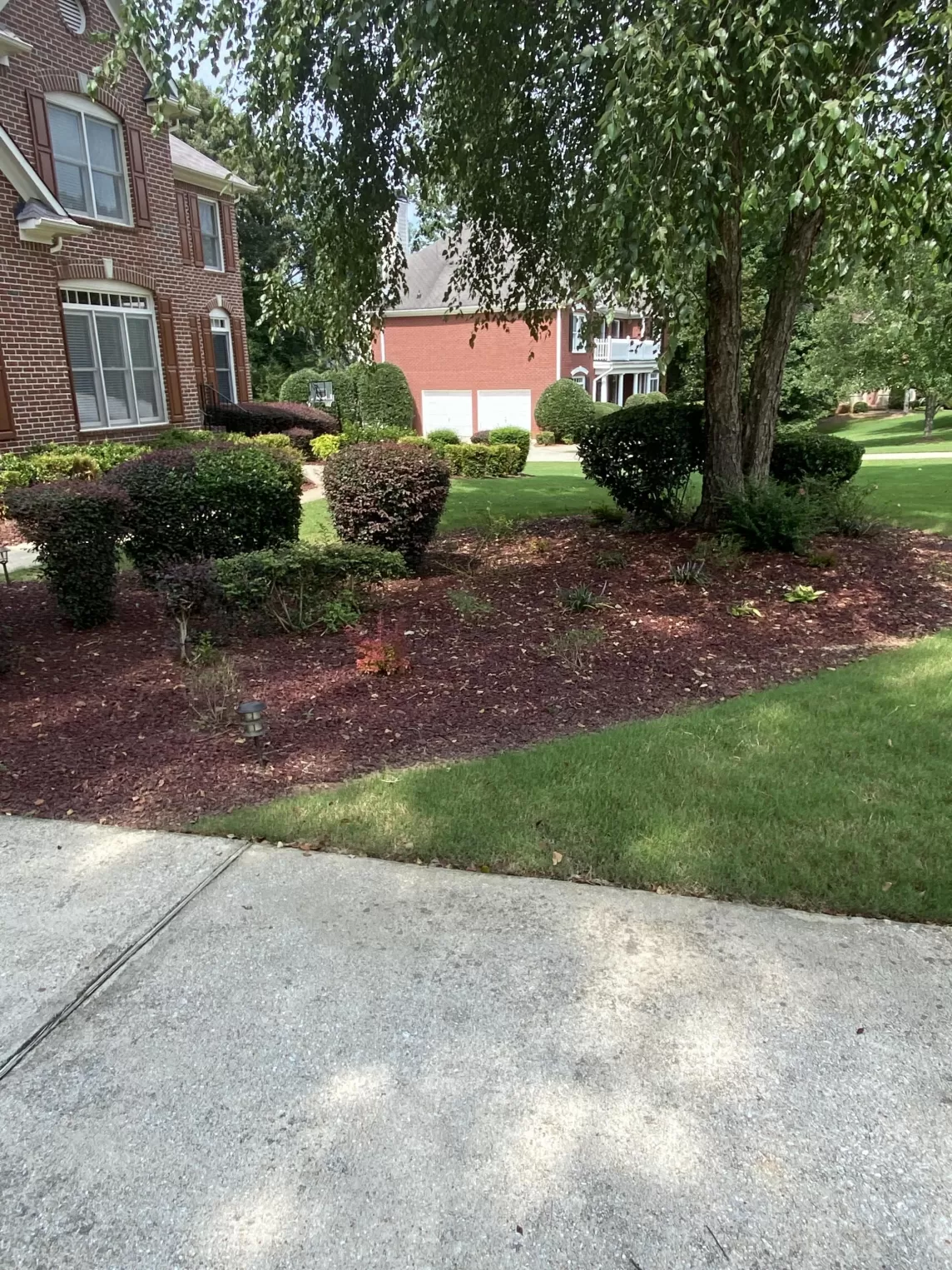 Red Rubber Mulch Landscaping Front Yard