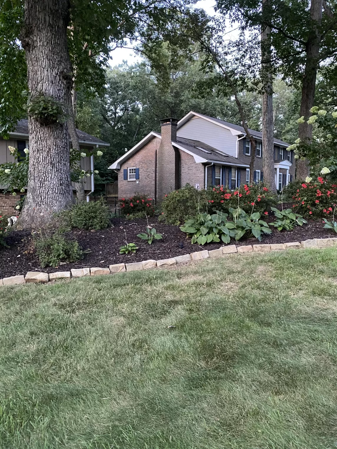 Rubber Mulch Landscaping in Wooded Area