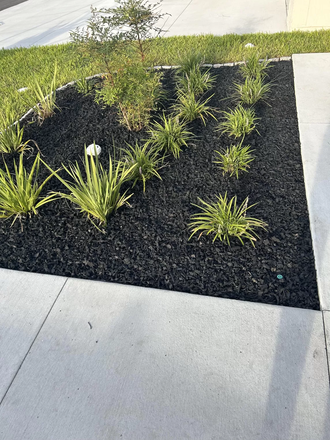 Rubber Mulch in Flower Beds