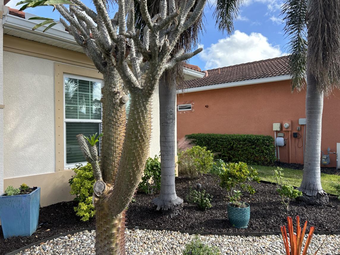 Brown Landscape Rubber Mulch