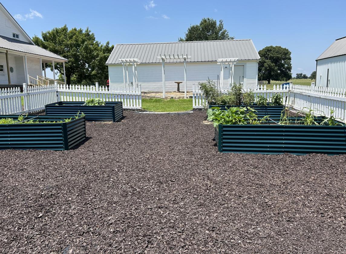 Raised Garden Bed with Brown Rubber Mulch Raised Garden Bed with Brown Rubber Mulch