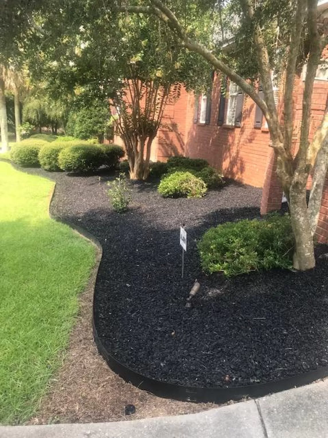 Black rubber mulch residential front yard landscaping