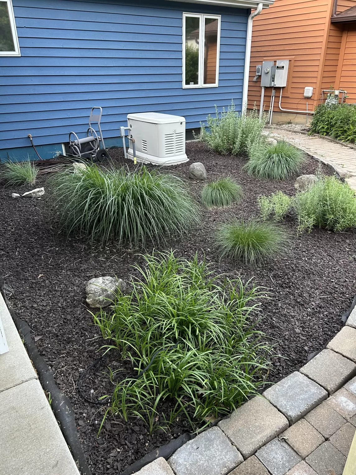 Brown Rubber Mulch Entry Garden