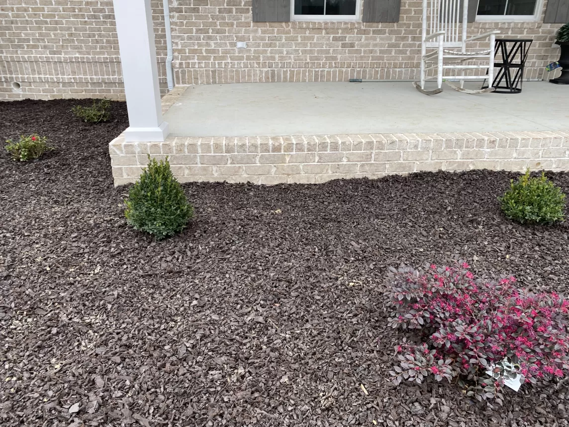 Rubber mulch in garden bed with shrubs