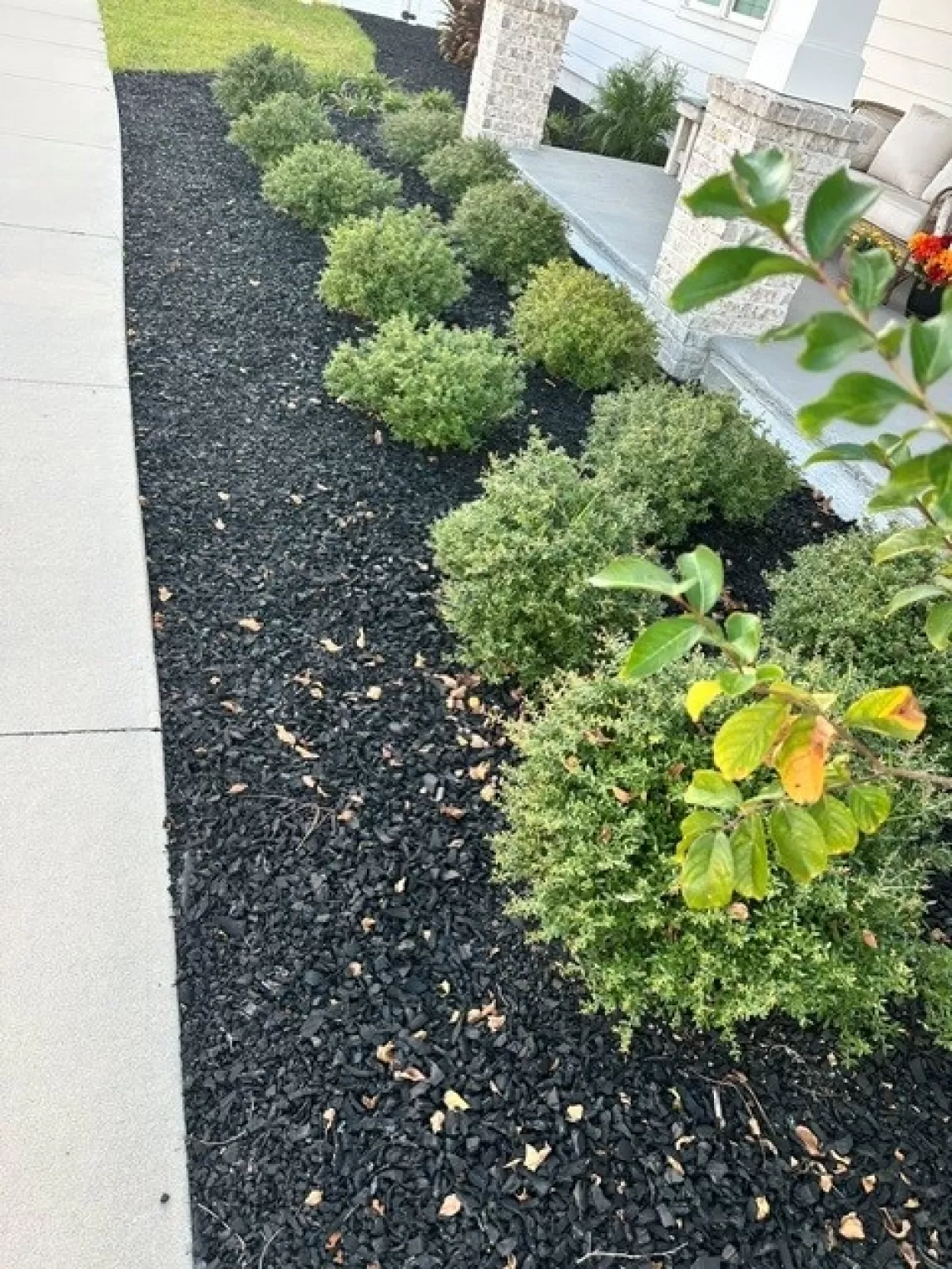 Black Rubber Mulch Sideyard Landscaping
