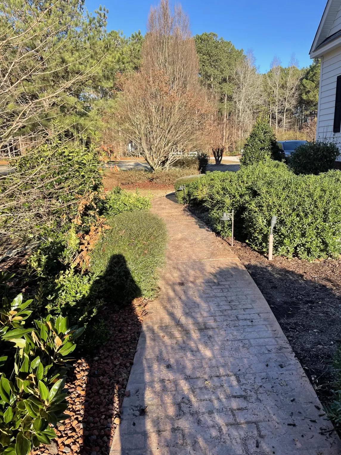Landscaping with Rocks Before Switching to Rubber Mulch
